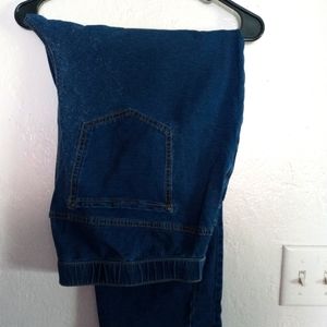 Catherine's jeggings plus size 2x petite